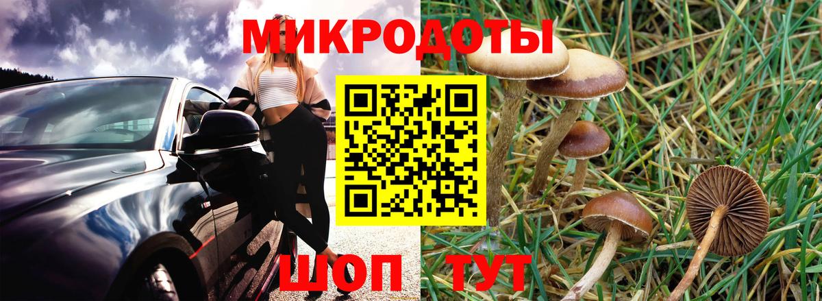Псилоцибиновые грибы ЛСД  Галлюциногенные грибы Magic Shrooms  Апрелевка  Вход с VPN 